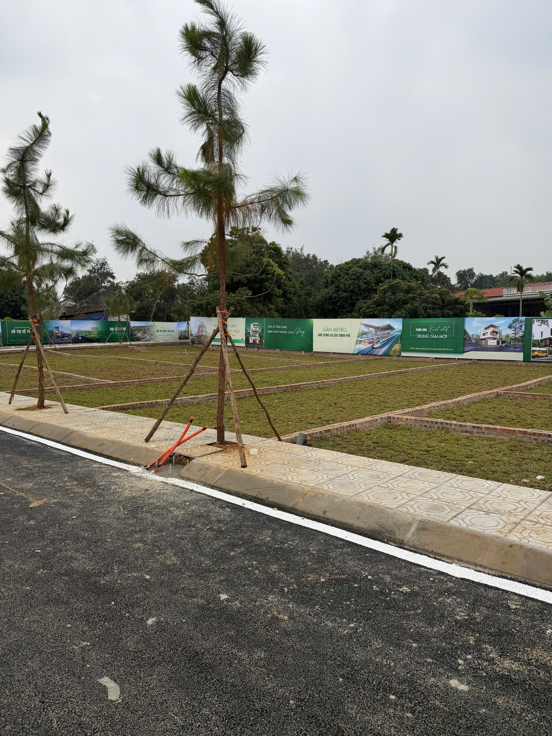 Mật độ dân cư Sơn Tây