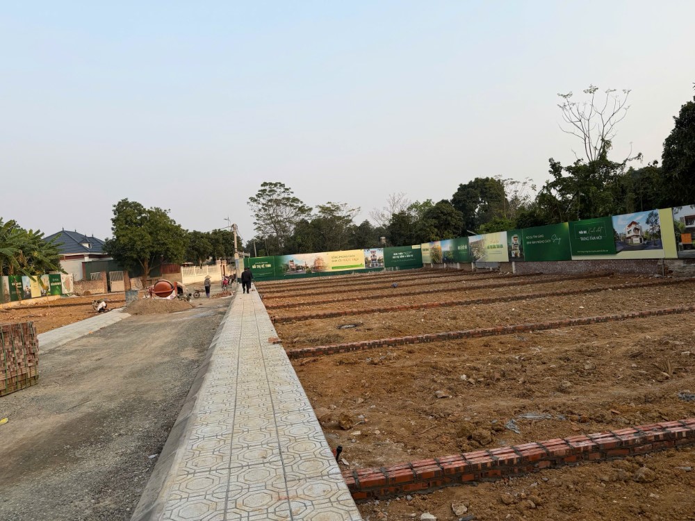 Bán Đất Nền Cổ Đông – Sơn Tây Gần Hòa Lạc